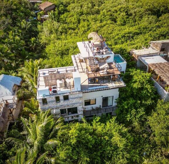 اتاق سوپریور با چشمانداز, Be Tulum