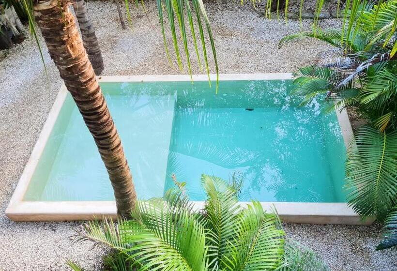 اتاق استاندارد با تخت بزرگ, Be Tulum