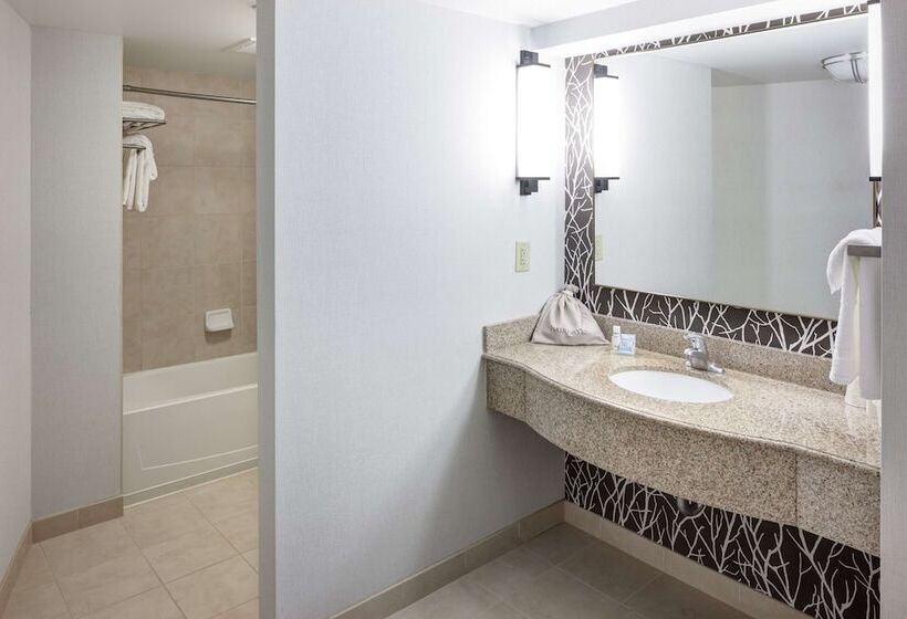 اتاق استاندارد, Hilton Garden Inn Nashville Vanderbilt