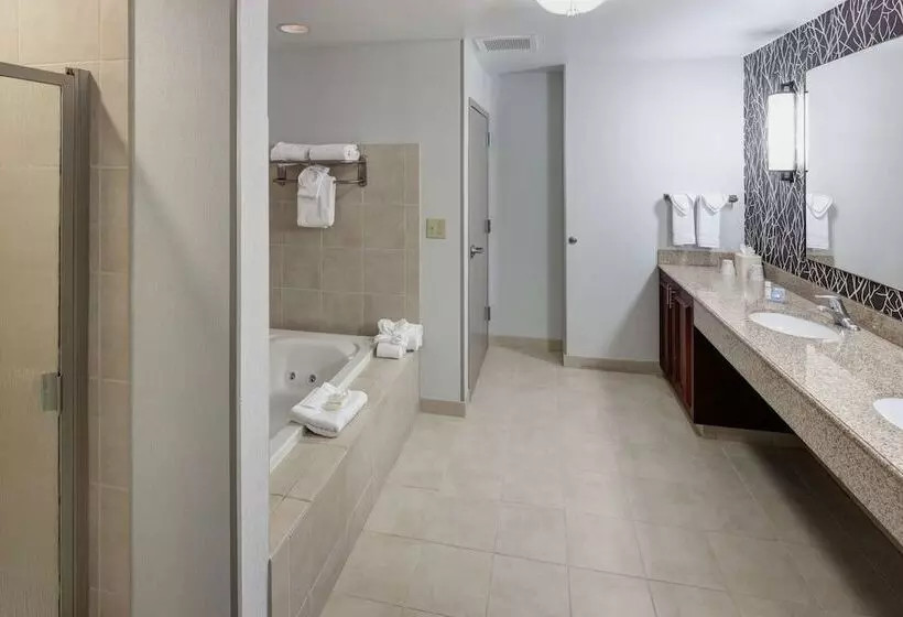 سوییت, Hilton Garden Inn Nashville Vanderbilt