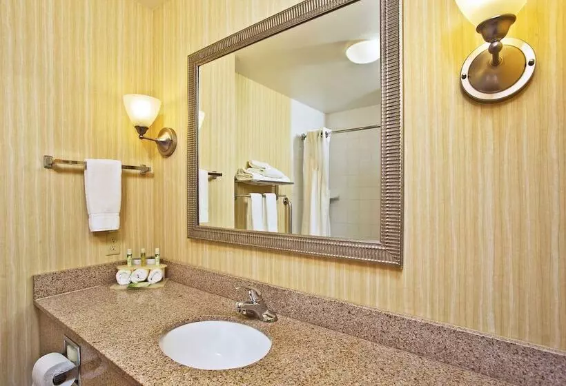 スタンダードルーム, Holiday Inn Express Hotel & Suites Anderson, An Ihg