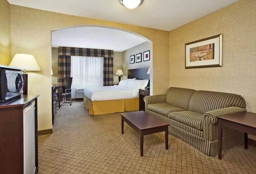 スイート, Holiday Inn Express Hotel & Suites Anderson, An Ihg
