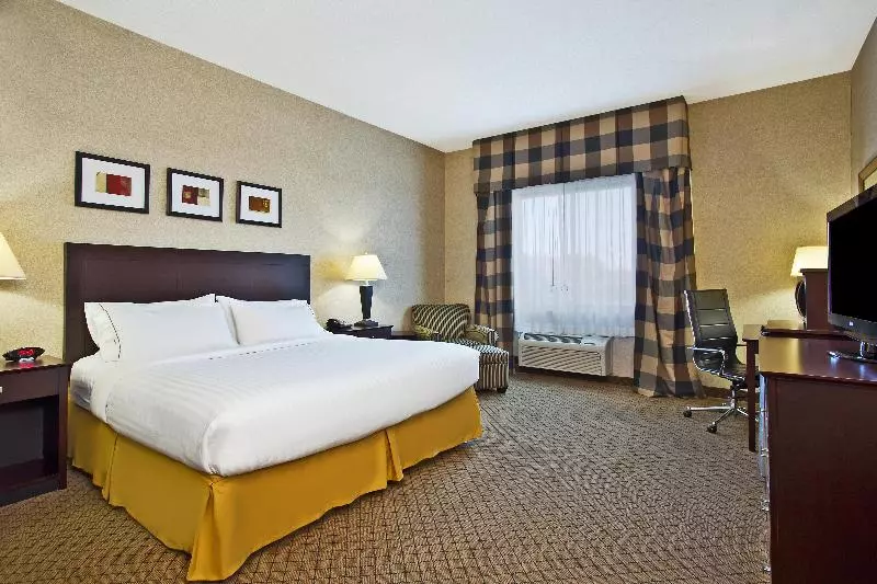 キングサイズベッドのスタンダードルーム, Holiday Inn Express Hotel & Suites Anderson, An Ihg
