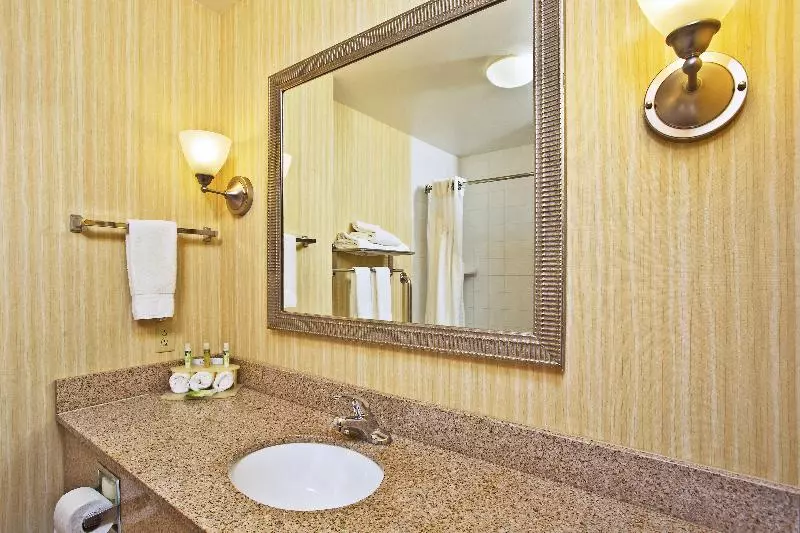 キングサイズベッドのスイートルーム, Holiday Inn Express Hotel & Suites Anderson, An Ihg