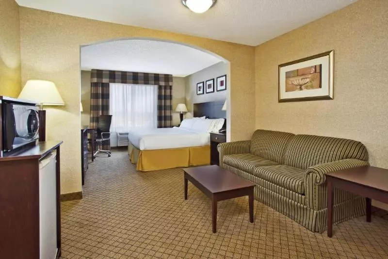 キングサイズベッドのスイートルーム, Holiday Inn Express Hotel & Suites Anderson, An Ihg