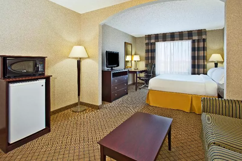 身障者適用キングサイズベッドルーム, Holiday Inn Express Hotel & Suites Anderson, An Ihg