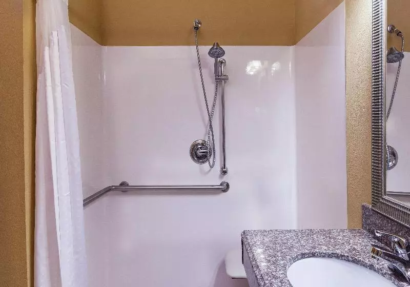 سوئیت برای معلولان, Holiday Inn Express & Suites, Corpus Christi Nw, Calallen, An Ihg