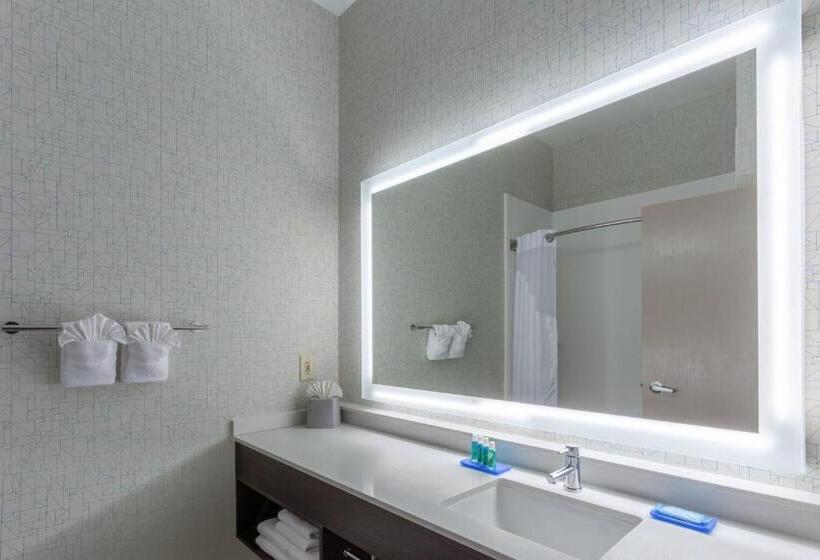 스탠다드 룸 킹사이즈 침대, Holiday Inn Express Columbus   Ohio Expo Center, An Ihg