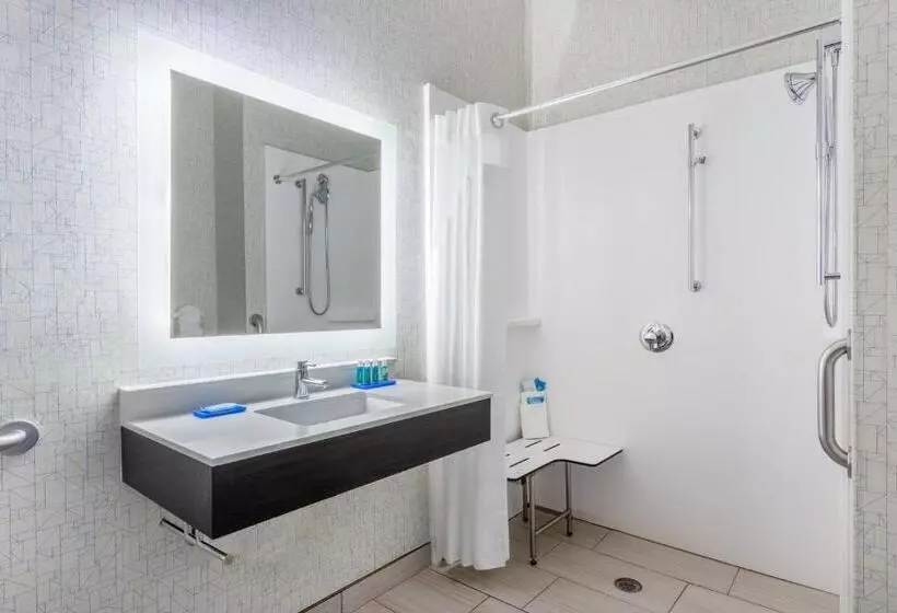 Standard-invahuone King-vuode, Holiday Inn Express Columbus   Ohio Expo Center, An Ihg