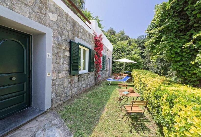 غرفة قياسية, Oasi Castiglione