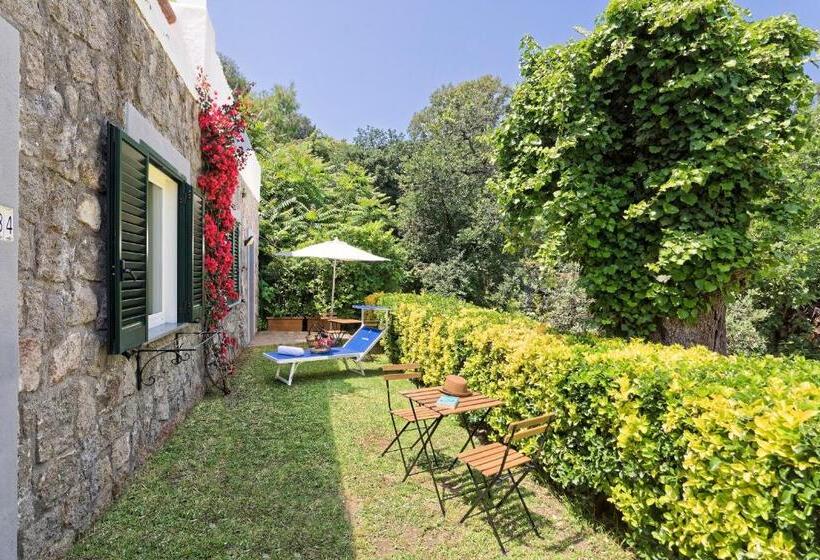 غرفة قياسية, Oasi Castiglione