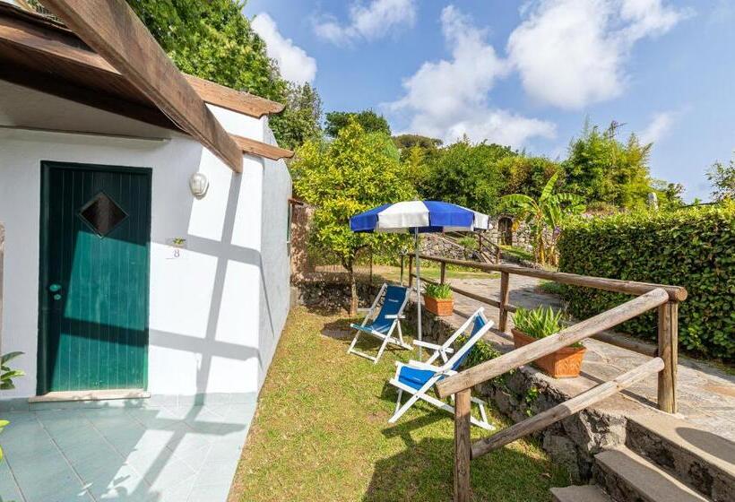 غرفة إقتصادية, Oasi Castiglione