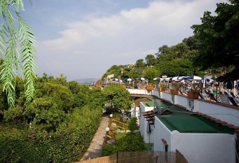 غرفة إقتصادية, Oasi Castiglione