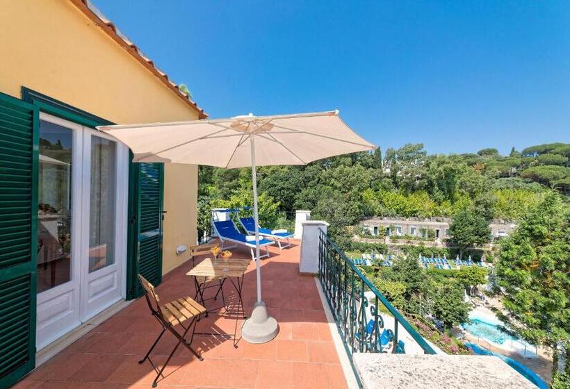 جناح جونيور, Oasi Castiglione