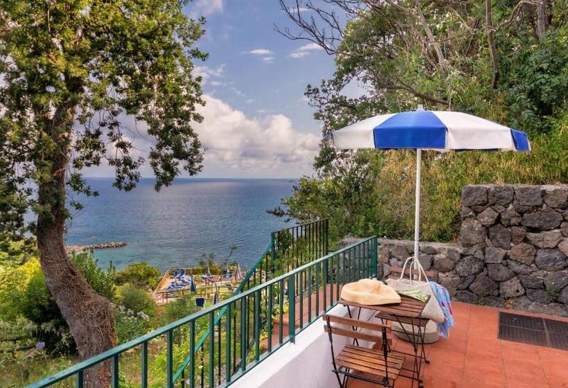 شقة إقتصادية غرفة واحد, Oasi Castiglione