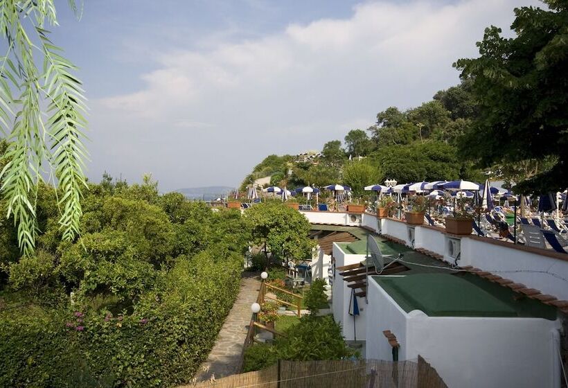 غرفة إقتصادية, Oasi Castiglione