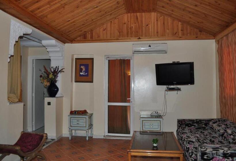 اتاق استاندارد یک نفره, Salim