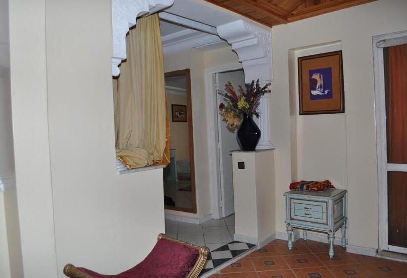 اتاق استاندارد یک نفره, Salim