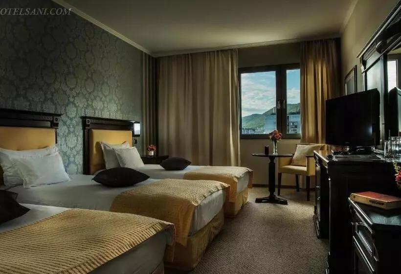 Standard-huone, Sani