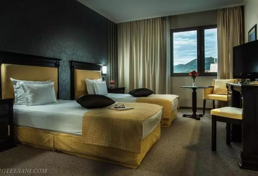 Standard-huone, Sani