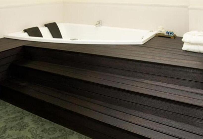 침실 1개 아파트, Sani