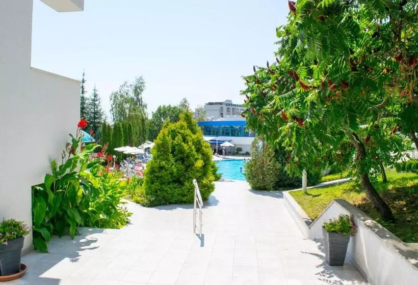 اتاق استاندارد, Sineva Park Hotel   All Inclusive