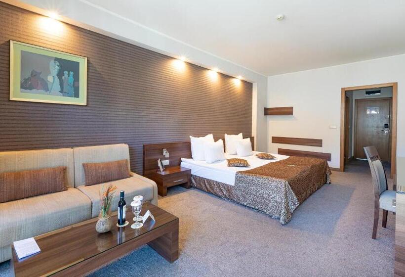 חדר דלוקס, Spa Hotel Persenk