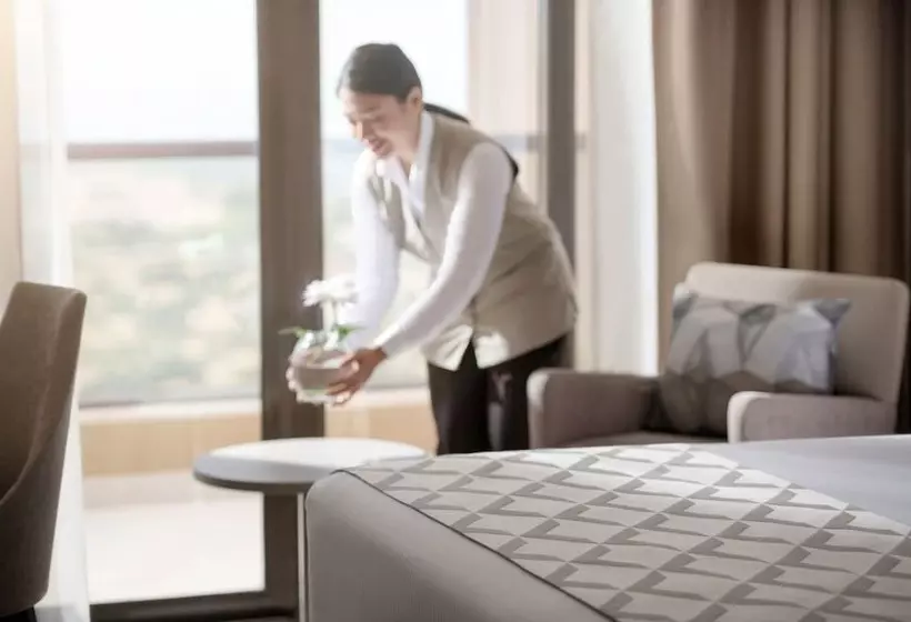 City View Suite