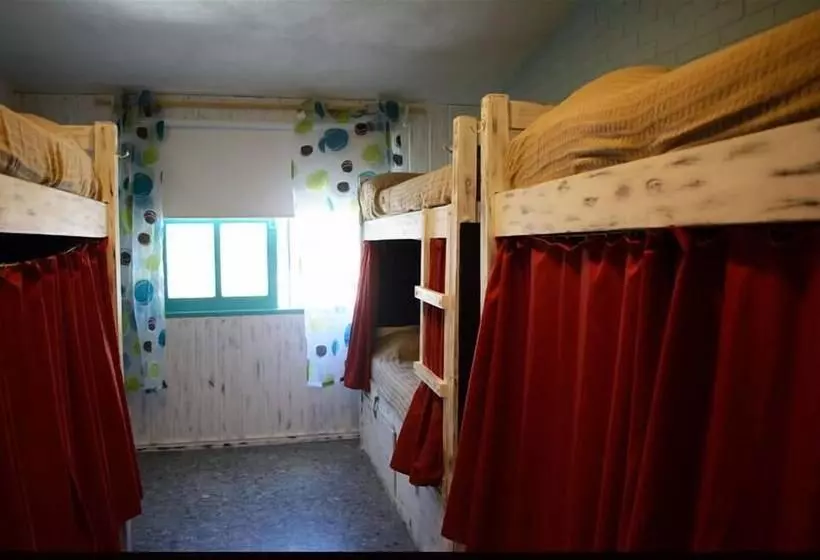 ルームシェアのワンベッド, Pastora Suites & Hostel   Punta Del Este