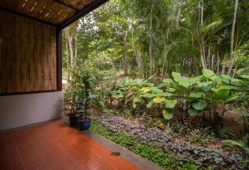 デラックスルーム, Phapok Eco Resort