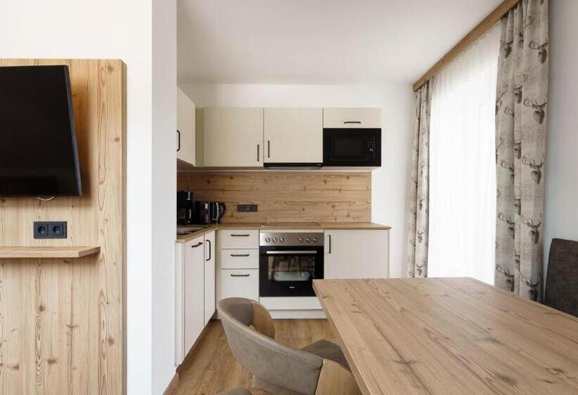 1ベッドルームのデラックスアパートメント, Stoagas Waidblick