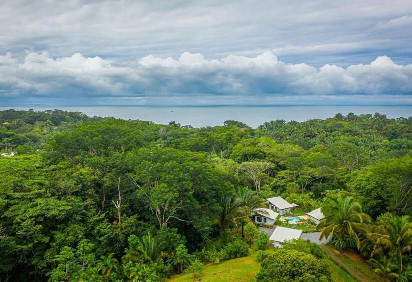 بنجلو ديلوكس, The Sutton   Boutique Jungle Experience