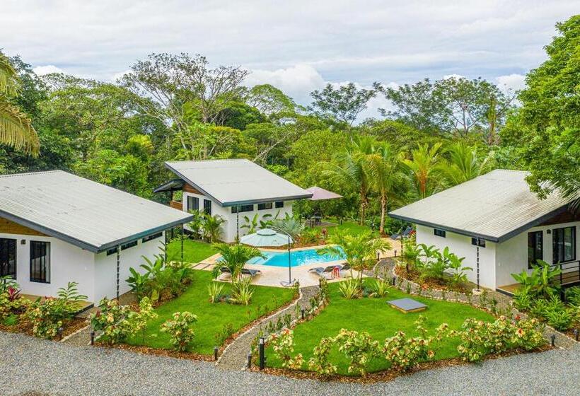 بنجلو ديلوكس, The Sutton   Boutique Jungle Experience