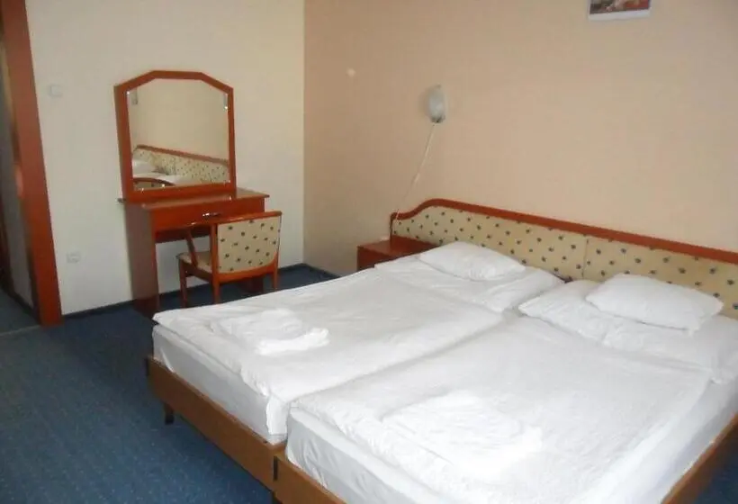 スタンダードルーム, Imperial Gyogyszallo Es Gyogyfurdo