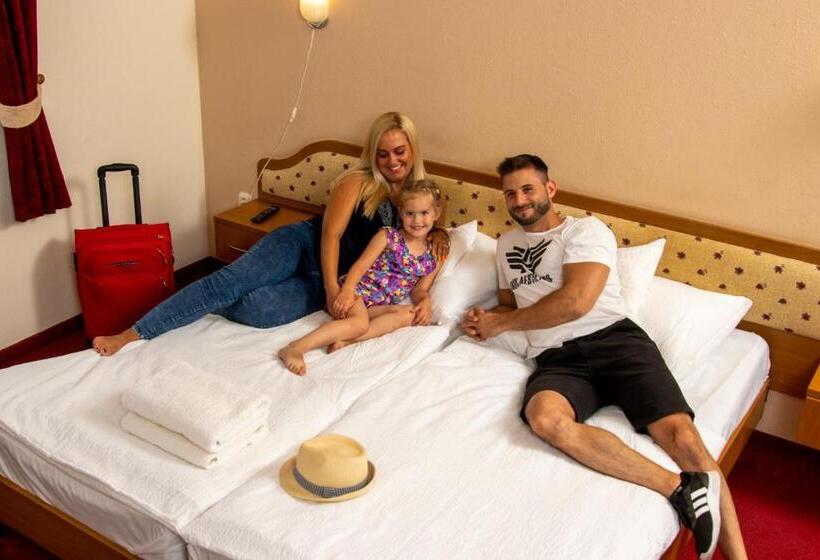 غرفة قياسية, Imperial Gyogyszallo Es Gyogyfurdo