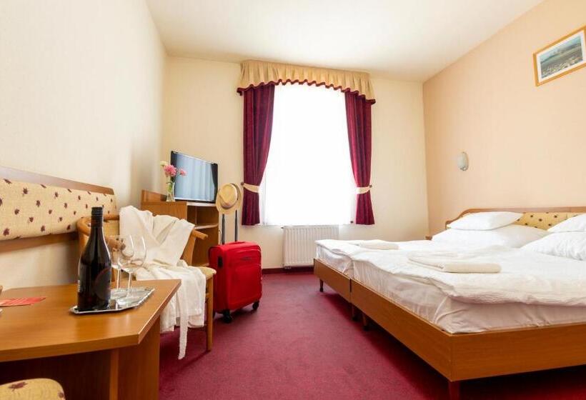 غرفة قياسية, Imperial Gyogyszallo Es Gyogyfurdo