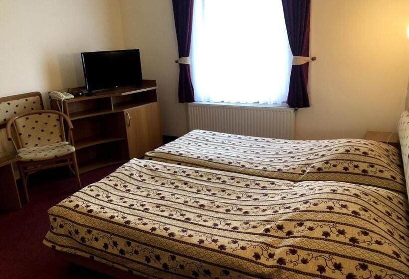 غرفة قياسية, Imperial Gyogyszallo Es Gyogyfurdo