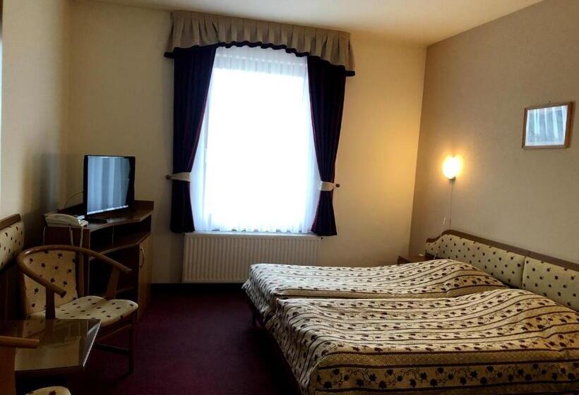 غرفة قياسية, Imperial Gyogyszallo Es Gyogyfurdo