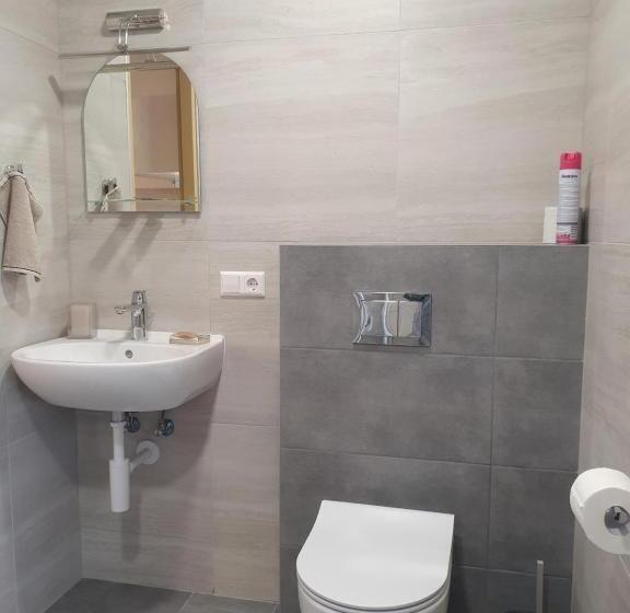 اتاق استاندارد, šolena