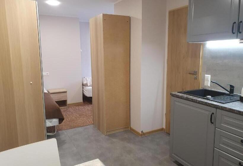 اتاق استاندارد, šolena