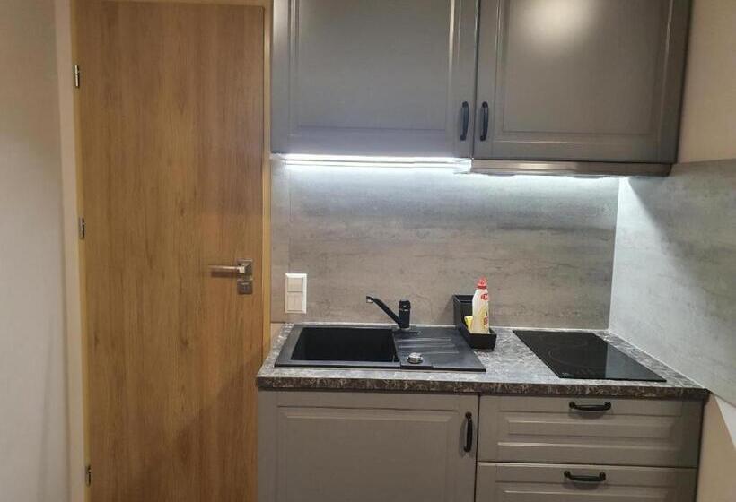 اتاق استاندارد, šolena