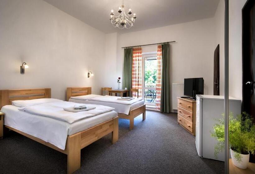 テラス付スタンダードルーム, Penzión Centrál