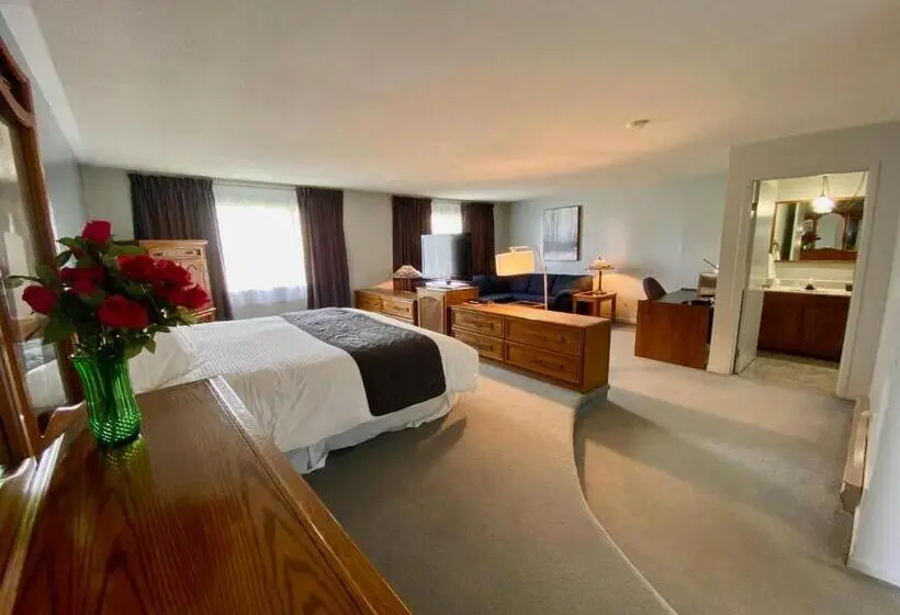 استودیو استاندارد با تخت کینگ, New Age Inn Voyageur