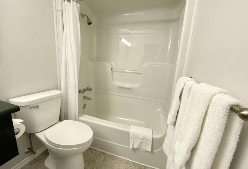 Студия Стандарт, New Age Inn   Voyageur