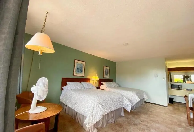 اتاق اکونومی, New Age Inn Voyageur