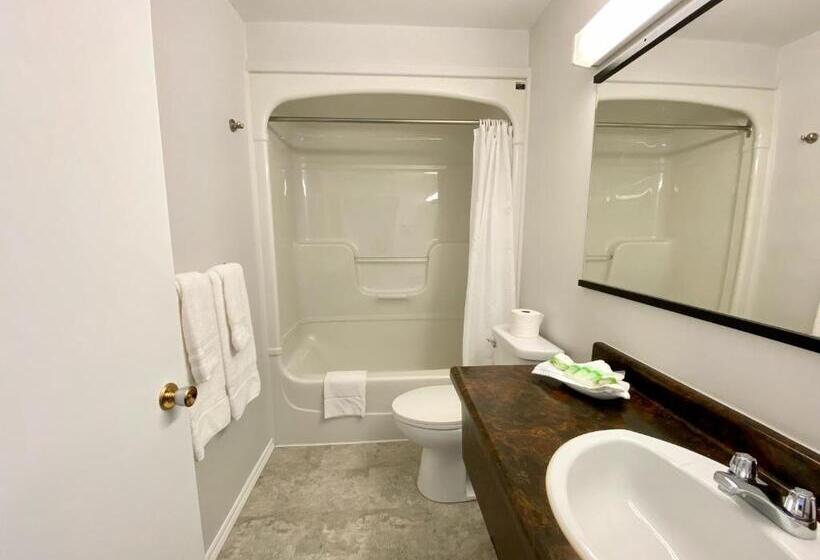 إستوديو قياسى, New Age Inn   Voyageur