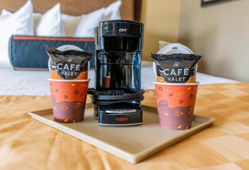 جناح ديلوكس سرير كينج, Hotchkiss Inn Motel