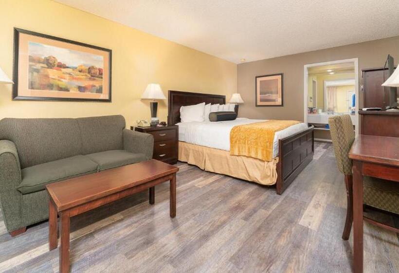 디럭스 스위트 킹 침대, Hotchkiss Inn Motel