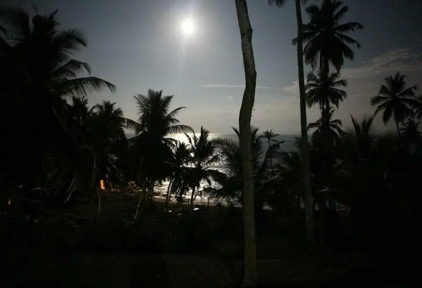 Standardzimmer mit Meerblick, Star Beach