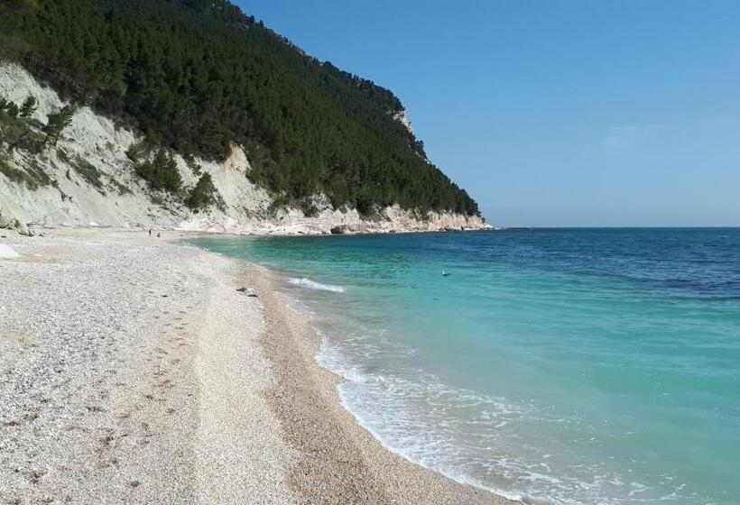 غرفة سوبيريور, Velia Mare